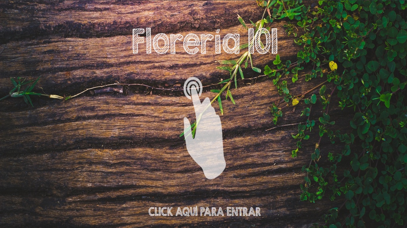 Floreria 101